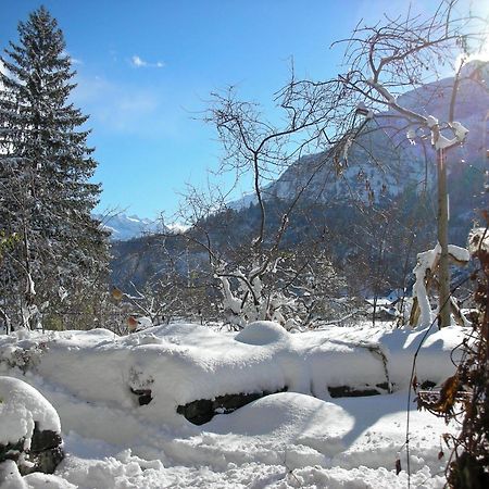 Dunkel Blaue Maus Acomodação com café da manhã Meiringen Exterior foto