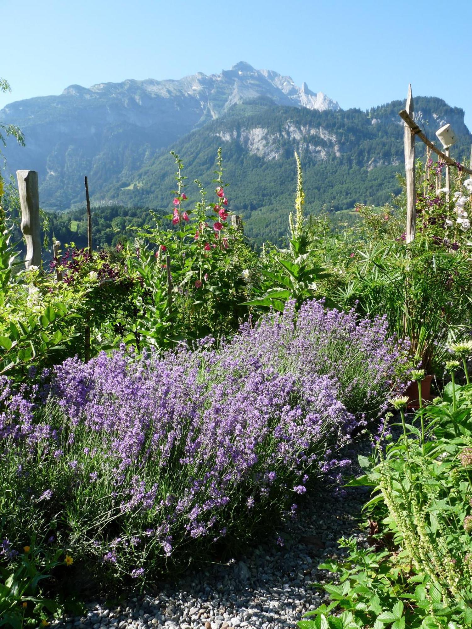 Dunkel Blaue Maus Acomodação com café da manhã Meiringen Exterior foto