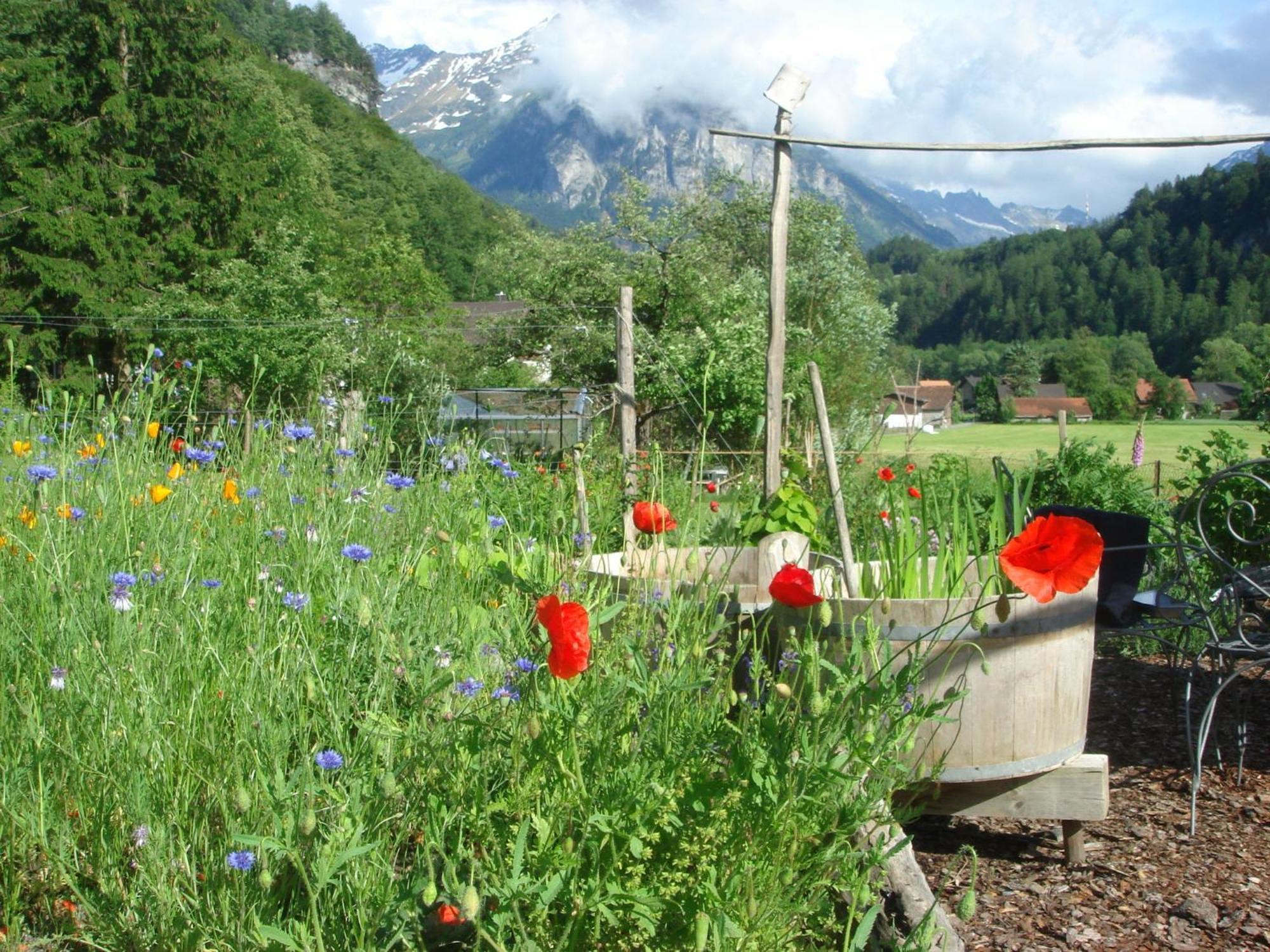 Dunkel Blaue Maus Acomodação com café da manhã Meiringen Exterior foto