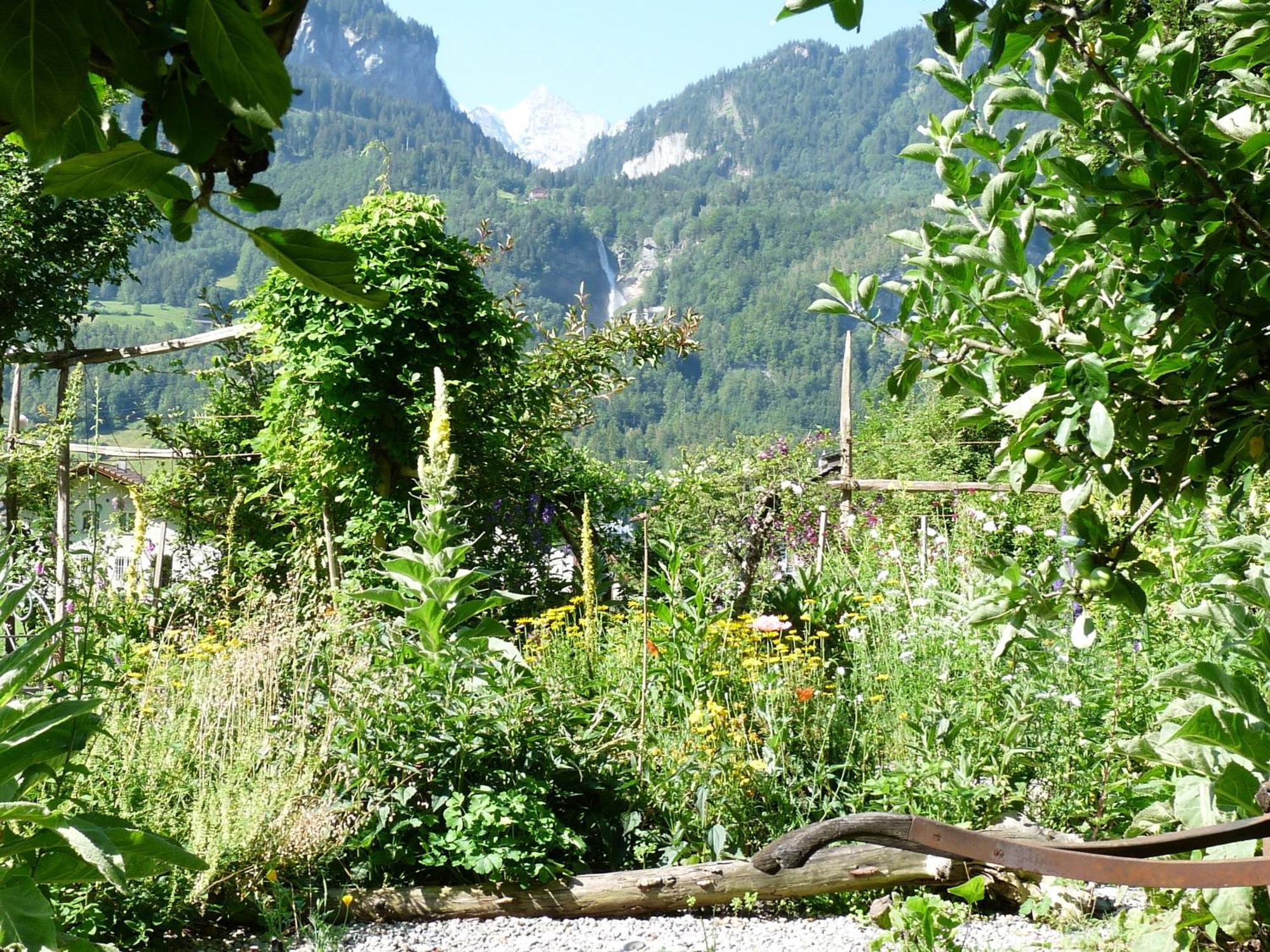 Dunkel Blaue Maus Acomodação com café da manhã Meiringen Exterior foto